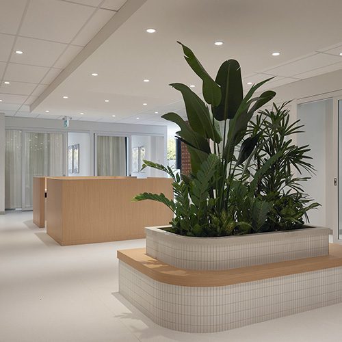 knee replacement operation knee replacement op